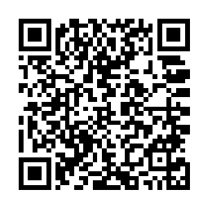 她自空间中将那枚小神龙的爹送她的玉简朝小神龙高高抛去二维码生成