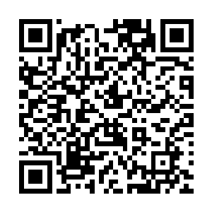 她自负聪慧却也明白自己并不能像叶璃那样上马打仗下马治国二维码生成