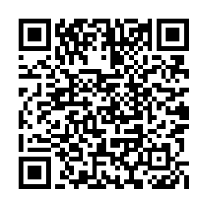 她花大价钱在江帆的尔雅商行对面租了一家店铺二维码生成