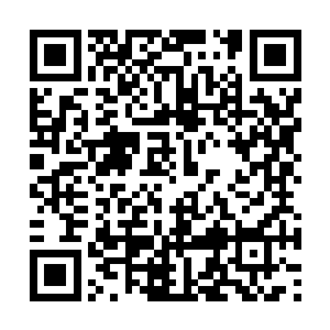 她若是提议将名额给一名仅仅一色元丹的低阶弟子二维码生成