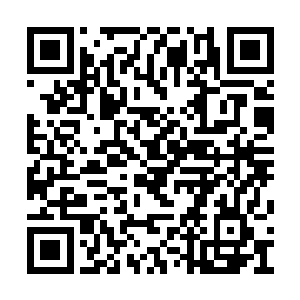 她被马悦调过来专门守电梯――这个可能性不大二维码生成