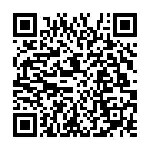 她要和这只圣级大圆满后期巅峰真真正正较量一招二维码生成