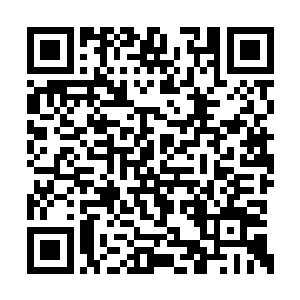 她觉得周狼从九龙雪山生还的可能性几乎为零了二维码生成