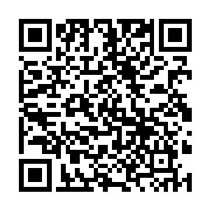她觉得念清大人不可能是因为楚枫而动如此大的怒火二维码生成