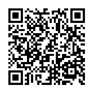 她觉得自己未必能够理解这个男人的胸怀与气魄二维码生成