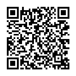 她觉得这个作战方案已经是她能想出来最好的作战方案了二维码生成