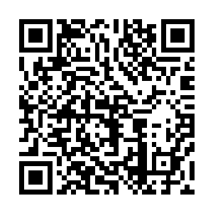 她让丫头把她熬的一盅白菜蜜枣煲羊肺汤放在旁边的小几上二维码生成