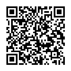 她让贝尔第一次在杰弗森身上体会到了那种无可奈何的酸楚二维码生成