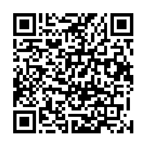 她说备选的方案要么选择做那个部族送给我们的山林旅店二维码生成