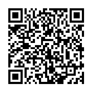 她说自己都已经一年半没有见到过自己的爸爸妈妈爷爷奶奶了二维码生成