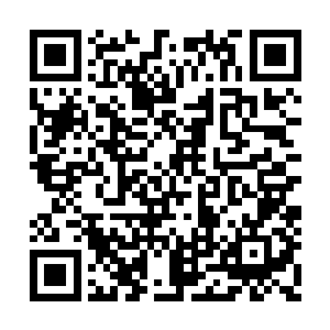 她负责出去打探聂云和族长澹台创宇的赌约消息二维码生成