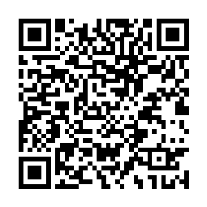 她趁着阮子玥出门的时候立刻上楼钻进自己的房间二维码生成