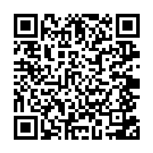 她路痴的完全没有方向感感知都是模糊的都只是摔了几次二维码生成