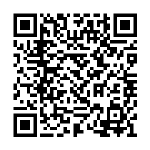 她身上那橘红色的衣裙微微旋出一个优美的弧度二维码生成