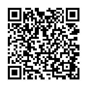 她身后的保镖登时就上来一左一右的架住我的胳膊二维码生成