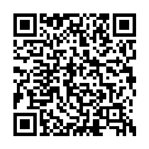 她身边最得脸的嚒嚒此刻就在顾府的厨房当厨娘二维码生成