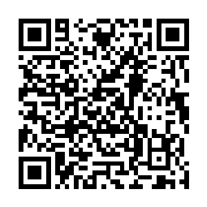 她轻轻抚摸了一下光滑的大班桌和宽松柔软的真皮大班椅二维码生成