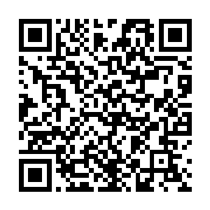 她还在荒诞的法庭上大声抗议国王和王后对好人的诬陷二维码生成