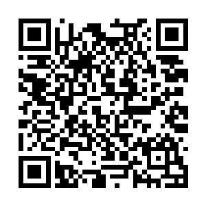 她还是第一次对父亲有这种难过又焦灼的复杂情绪二维码生成