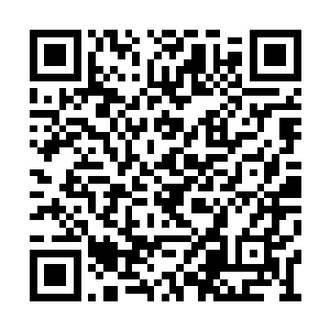 她还是第一次感觉这么理直气壮地接芮阁的电话二维码生成