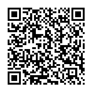 她还是难以相信一架民航客机几百条人命都是因为人为因素给消失了二维码生成