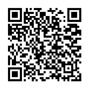 她还来不及发现自己睡前与睡后之间枕头与被子的变化二维码生成