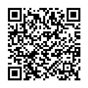 她还特意从炼丹门赶回来要小小报复一下夜染呢二维码生成