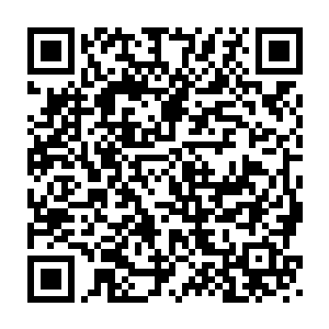 她还真是不知道圣级中期的修为是否能够完全催动这霸道的虚无剑式二维码生成