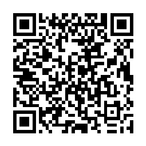 她还真的可以抽出许多时间在这苏国公府里面逛一逛二维码生成