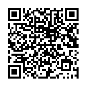 她还要顺便领略一下剧情世界的风光和美食美男什么的二维码生成