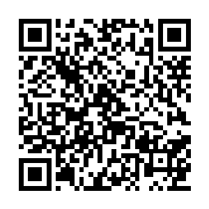 她这个角度看去正好可以看到江迟聿的裤裆那里二维码生成