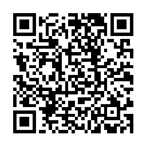 她这会儿就等着小汤尼把他书包里好吃的东西拿出来二维码生成