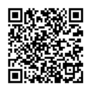 她这次才破例让李川和顾漫跟着过来一起到现场看看二维码生成