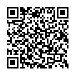 她连自己的弟子都接二连三地派出来送死了……二维码生成