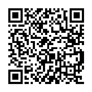 她那强大的仙诀却被混沌界爆发的天道力量绞碎二维码生成