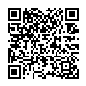 她都会输送一道火元素从吴虎臣那地儿里送到他的全身二维码生成