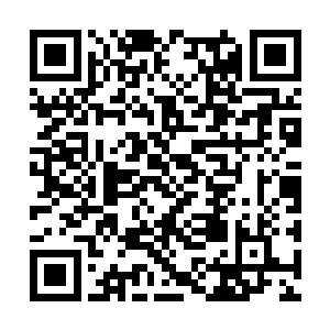 她都准备尝试着挖掘一下珍妮弗的私生活――最少二维码生成