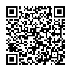 她随后又拨打了自己几个熟悉业内经纪人的电话二维码生成