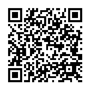 她飞快地将被雷电击得奄奄一息的阿财拎起来抱在怀里护住二维码生成