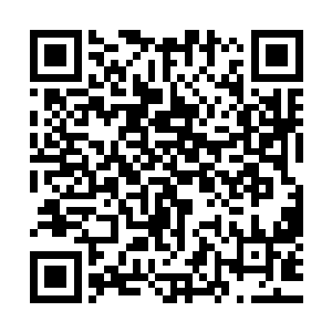好不容易借着英亲王和左相的扶持拼到现在被皇帝看重的地位二维码生成