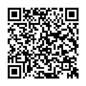 好些东西都是老爷特意令人从南洋带给小姐的呢二维码生成