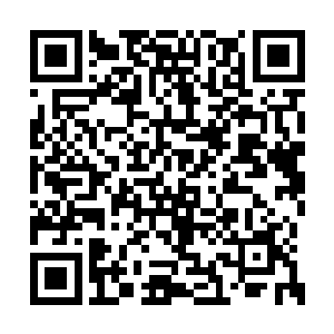 好似杨开与那玉琢之间有些不可告人的关系一样二维码生成