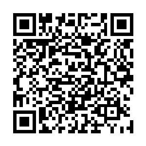 好似毫无章法的姿势配合他脚下奇特的步伐后显得奇快无比二维码生成