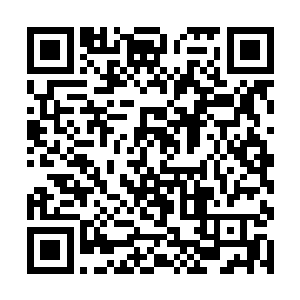好像一点儿也不为自己的保镖打伤秦逸的事情而紧张二维码生成