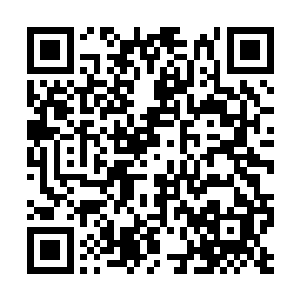 好像一直以来就是致力于挖掘这黑石废墟中的秘密二维码生成