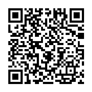 好像下一秒就会扑上来用尖利的牙齿咬断他们的喉咙一般二维码生成