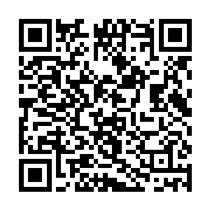 好像与那东路指挥使和东路通判大人的公子起了冲突二维码生成