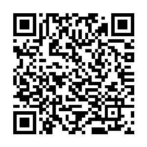 好像之前指挥手下残酷围杀代离等人的人不是他一样二维码生成