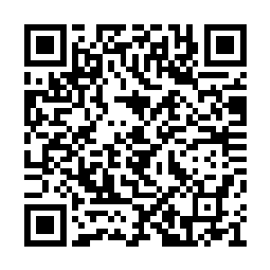 好像他根本就不知道他的哥哥姐姐会追杀他一般二维码生成