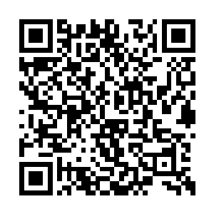 好像是专门为那疯长的根芽提供生长的土壤一般二维码生成